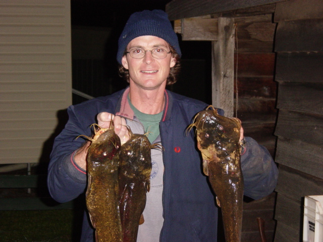Cobbler Kill
